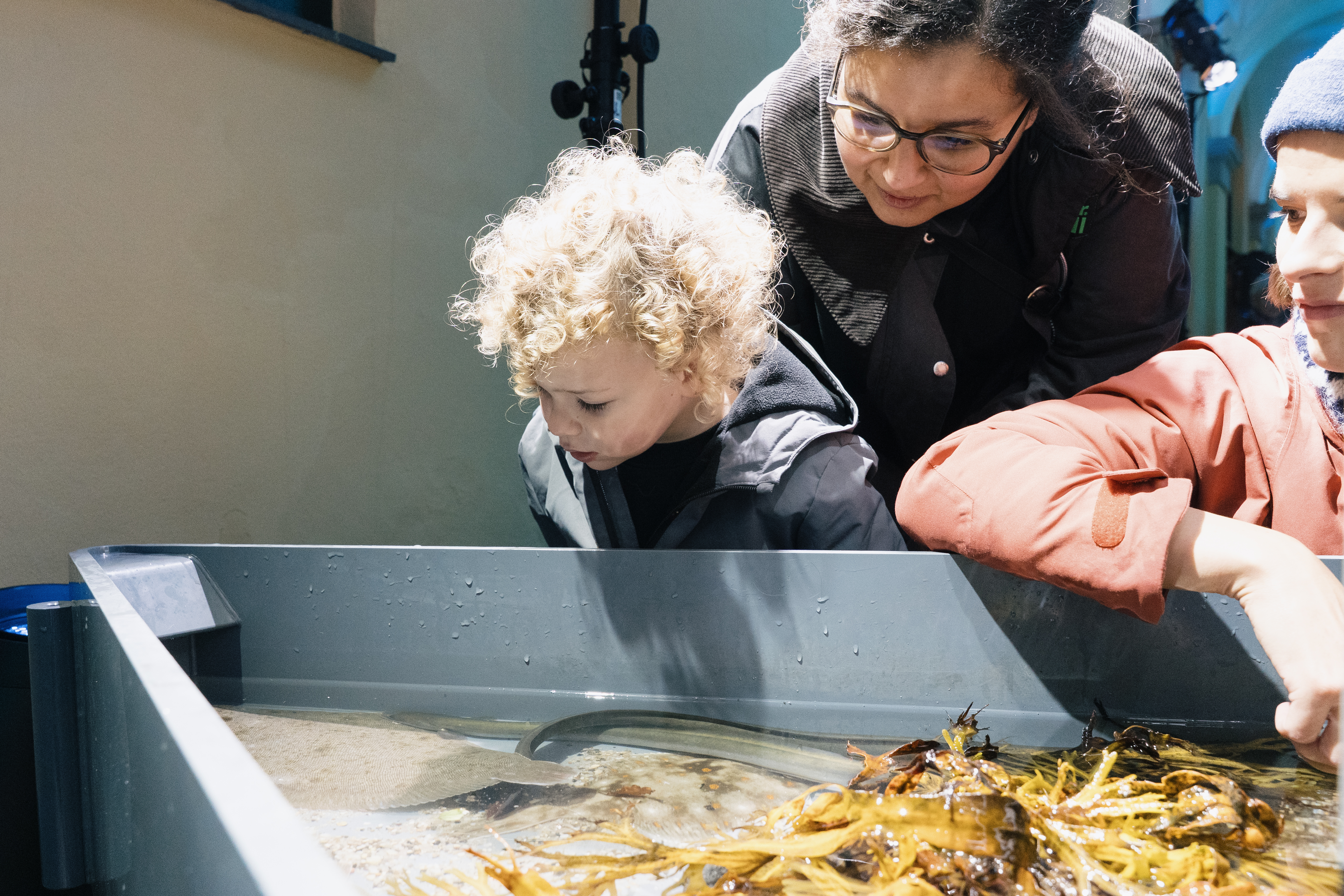 By &amp; Havn_Kulturnat 2025-19