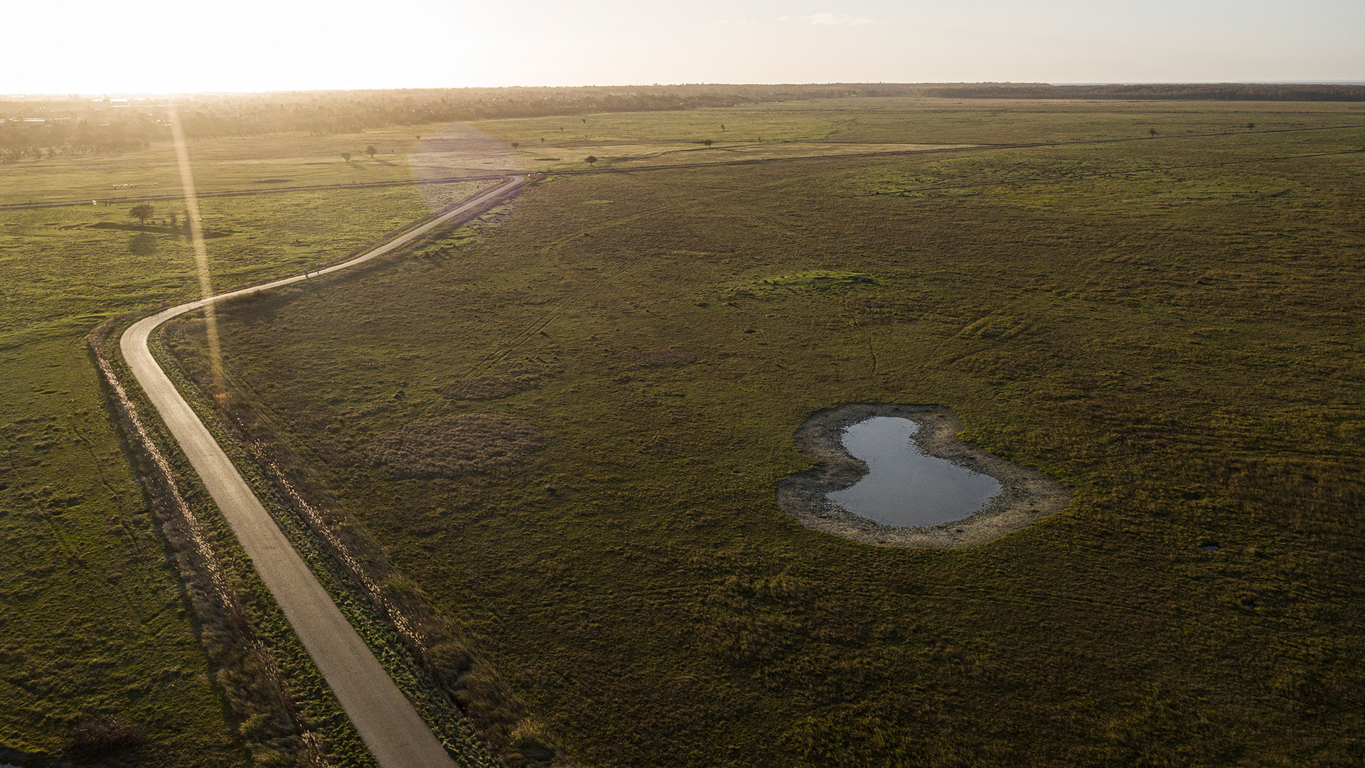 Oerestad_drone_20201120_TH_0087 Oerestad_drone_20201120_TH_0087