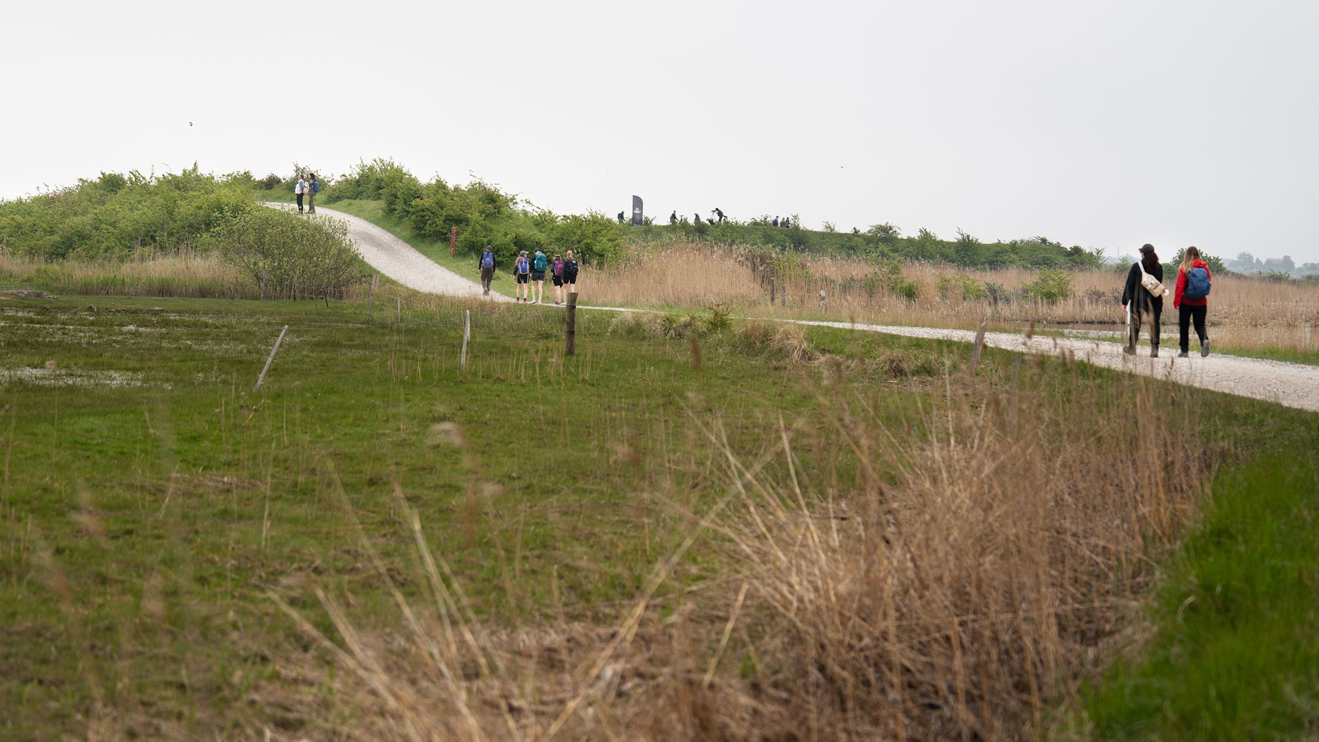 Store_vandredag_vandrere_1920x1080