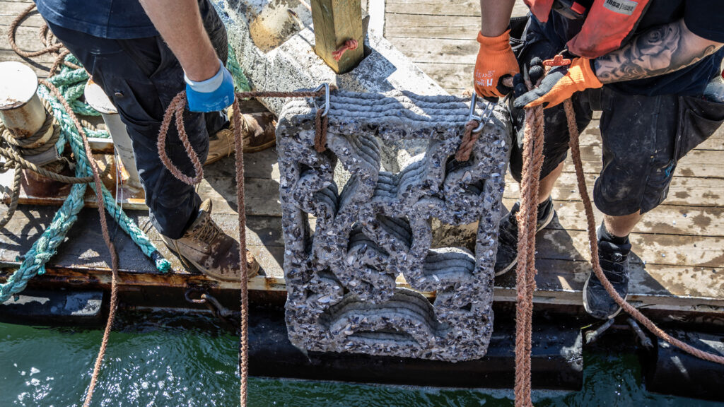 Samfundsansvar og bæredygtighed