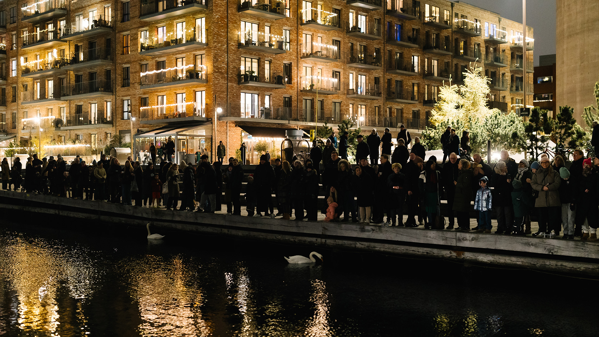 9J4A2356_December 13, 2024_36