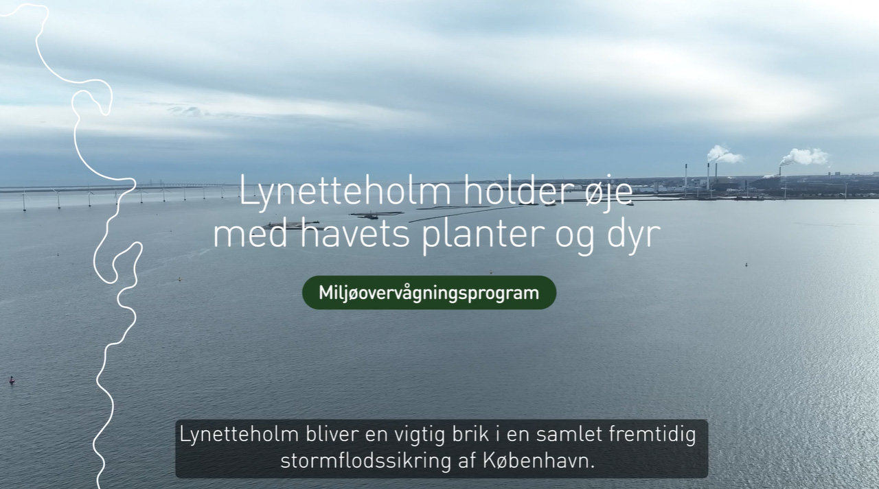 miljoovervaagining